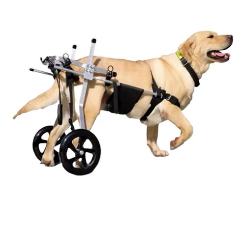 Large dog wheelchair pet - wheelchair,,