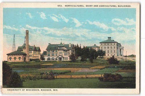 Horticultural dairy and - dairy,
