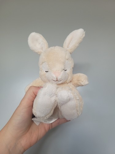 Bunny rabbit sleeping - bunny,
