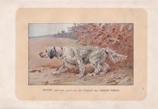 1896 ENGLISH SETTER DOG Print - Dog Wall Art Gift - Animal Lover - 10 x 7 Inches