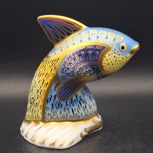 Royal crown derby paperweight - royal,