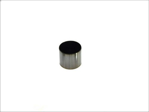 Tappet kolbenschmidt 50007548 - kolbenschmidt,