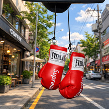 Supreme Mini Boxing Gloves Car