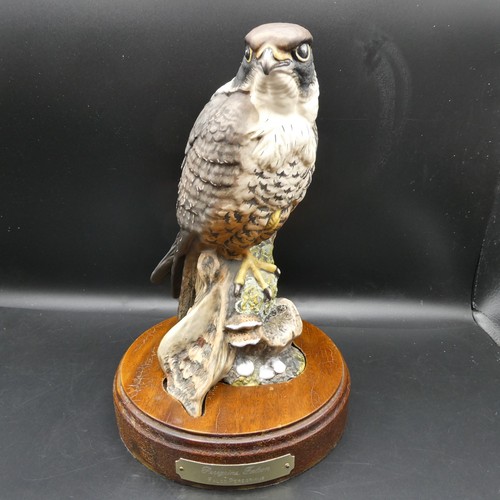 Royal doulton bird - bird, figurine