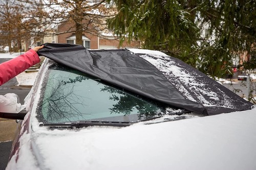Windscreen frost protector - frost, to