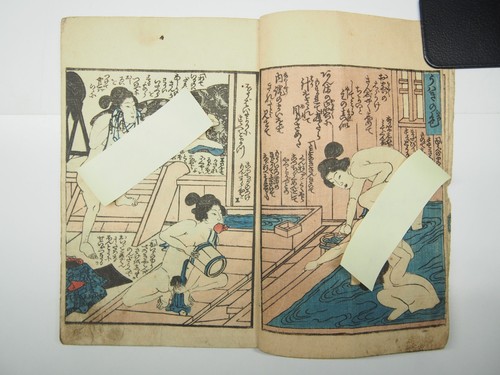 Insuitei woodblock print - insuitei, book