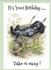 Cocker Spaniel Blue Roan Dog