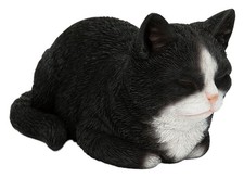 Vivid Arts Cat Dreaming -
