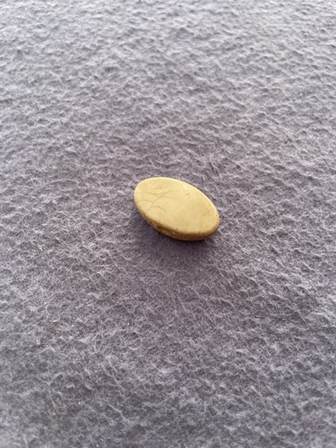 Van ghent guitar - guitar, button