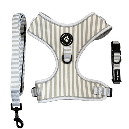 Dog harness collar - dog,