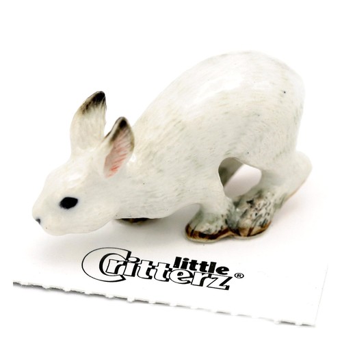 Little critterz hare snowshoe - hare,