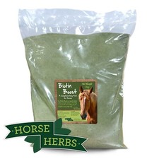 Horse herbs biotin boost - horse,