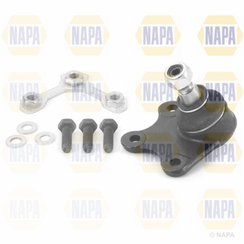 Front right lower ball joint - front,