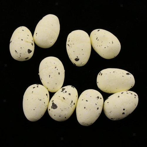 Bird eggs quail - quail,