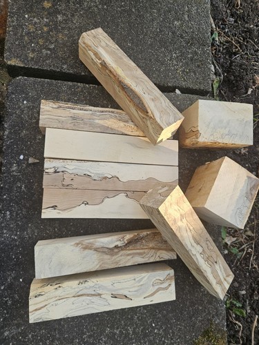 Spalted beech wood turning - spalted, beech,