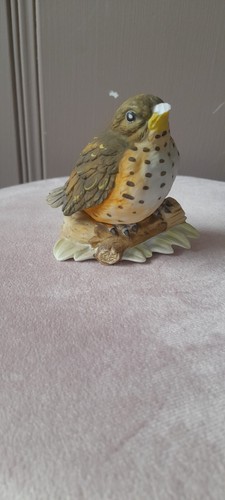 Bird ornament - bird,