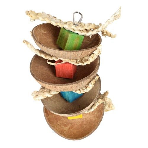 Happy pet coco fun - coco,