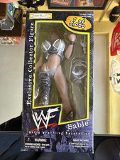 Vintage 1999 WWF WWE Sable Figure Jakks 1 Of 5000 Rare New In Box 