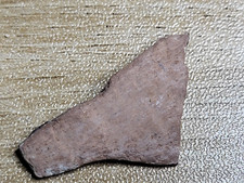 Raptor egg shell dinosaur