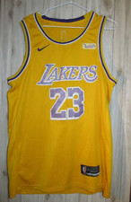 Nike swingman lakers lebron - lakers,
