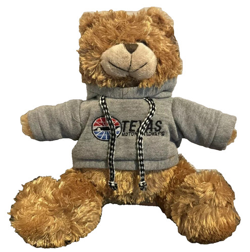 Texas motor speedway teddy - texas,