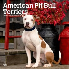 American Pit Bull Terriers |