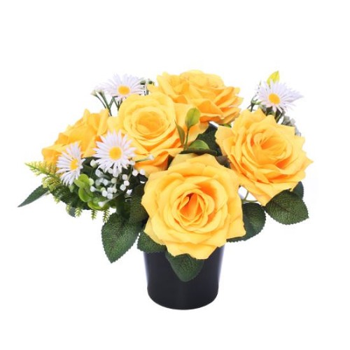 Yellow white rose memorial - rose,