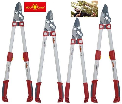 Wolf garten power - wolf, cut