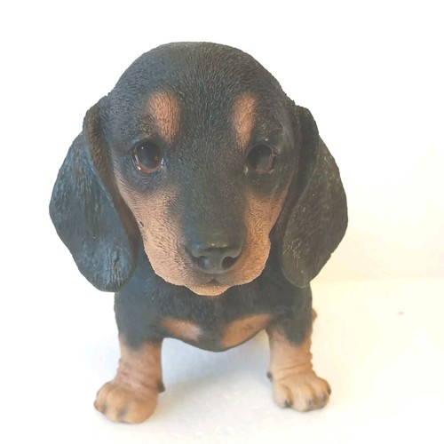 Dachshund puppy dog lifelike - puppy,
