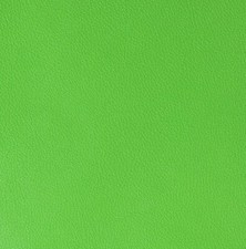 Kawasaki Green LEATHER PAINT