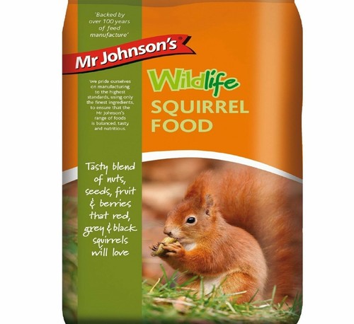 Johnson wildlife squirrel - mr,