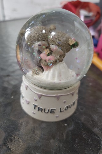 Wedding snow globe true - snow,