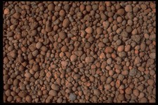 403018 Garden Pebbles A4 Photo Texture Print