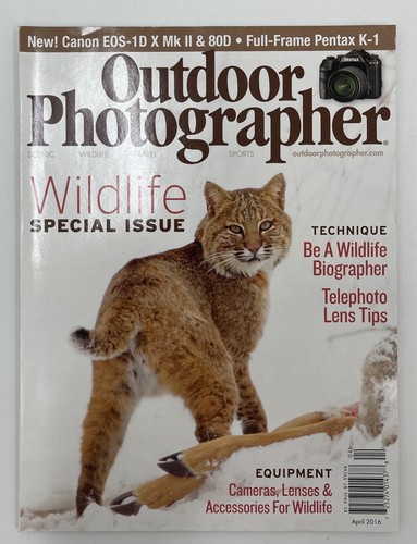 Outdoor photographer wildlife - outdoor,