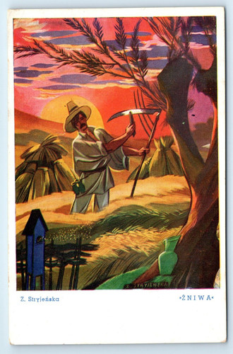 Postcard zofia stryjenska - postcard,