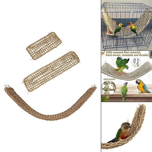 Parrot climbing rope ladder - parrot,