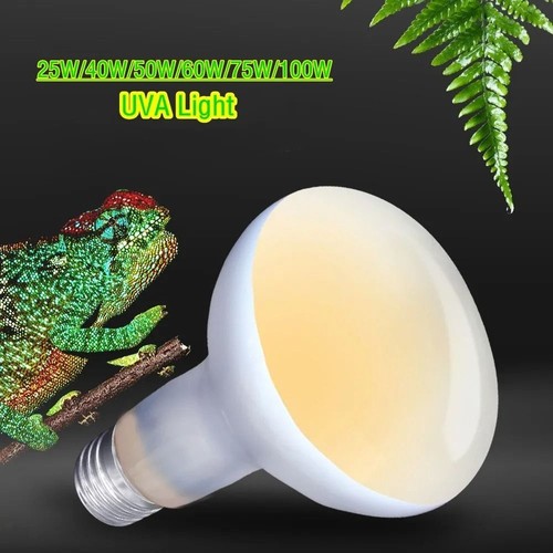 Simulated sunlight reptile - simulated,