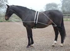Shires Lunging Aid - One Size