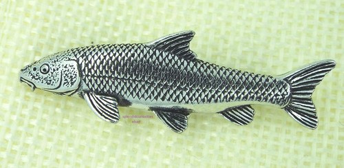 Barbel fish pin badge artisan - barbel,