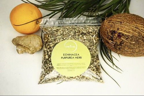 Echinacea purpurea dried - echinacea,