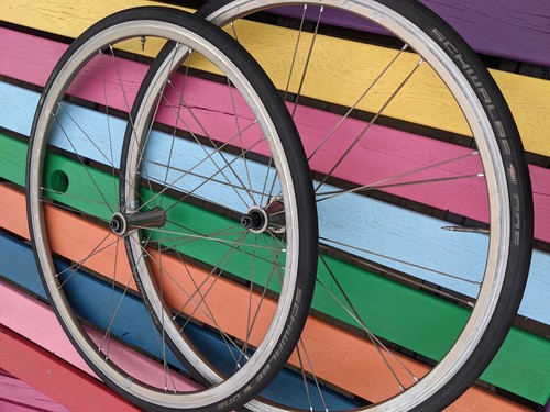Bontrager race lite - race, (rxl)