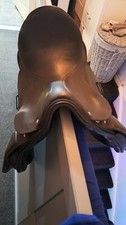 Handmade Frank Hastilow Piaffe