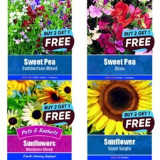 Flower Seeds UK Grow Your Own Outdoor Plants Borders | Over 96 varieties