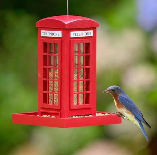 Telephone booth bird - booth, feeder