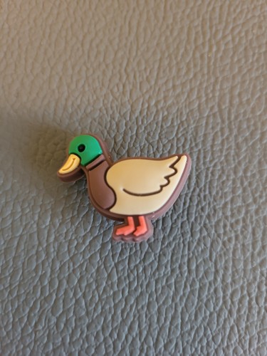 Mallard duck shoe - ✴️mallard,