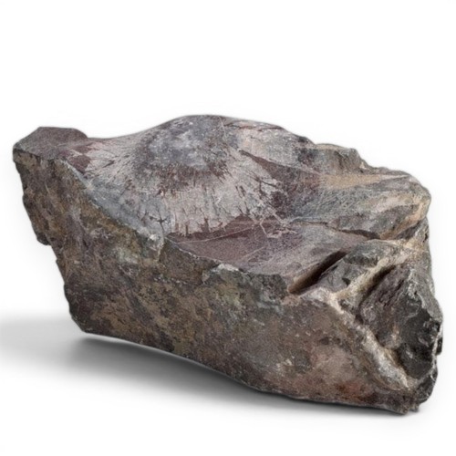 Suiseki natural stone flower - natural,