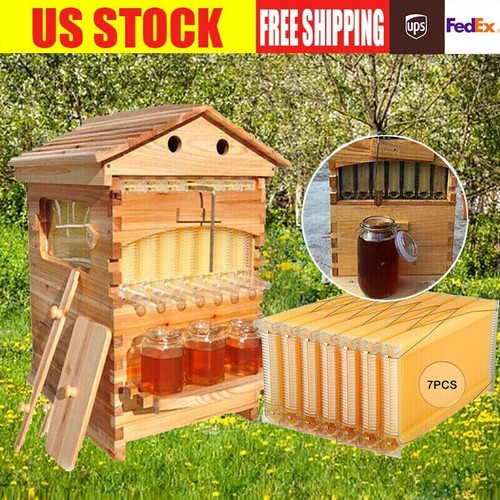 Upgraded auto reap honey - 7,