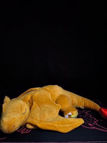 Pokémon large sleeping - large,