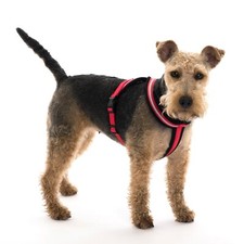 Company Of Animals Comfy Harness, Premium Reflective Padded for Dogs ALL SIZES