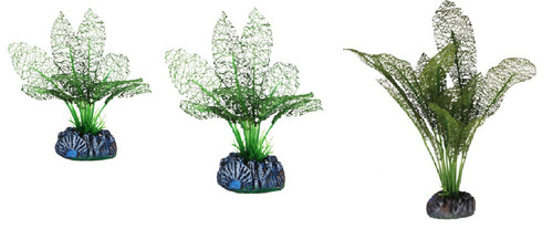Betta choice silk green lace - betta,